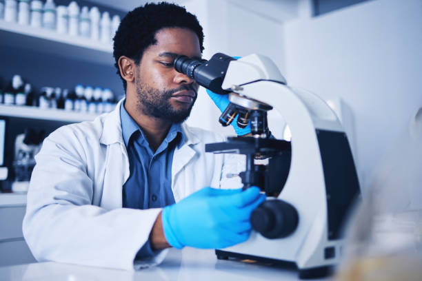 istock Microscope, science laboratory and black man research medical analysis, review and biotechnology. Scientist, microbiology and worker study investigation, healthcare innovation or planning expert test 1569219768