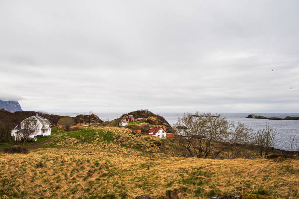 istock Senja island landscape during springtime 1569229234