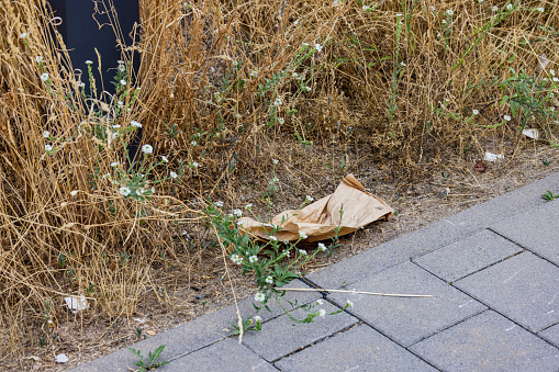 Pollution by throwing away a paper bag on the street, Germany