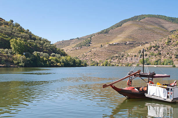 Douro region View from  Pinhão vilage in Portugal to Douro valey rabelo boat stock pictures, royalty-free photos & images