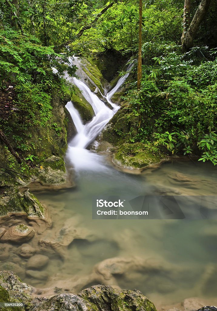 Cascata Foresta profonda - Foto stock royalty-free di Acqua