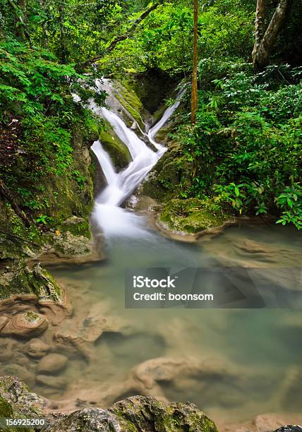 Cascata Foresta Profonda - Fotografie stock e altre immagini di Acqua - Acqua, Acqua fluente, Albero