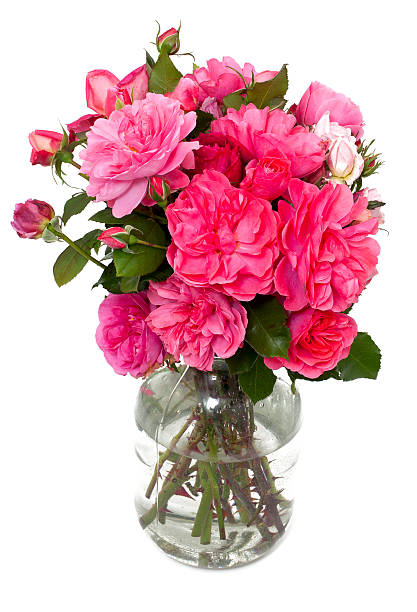 istock pink roses in a glass lid 156926629