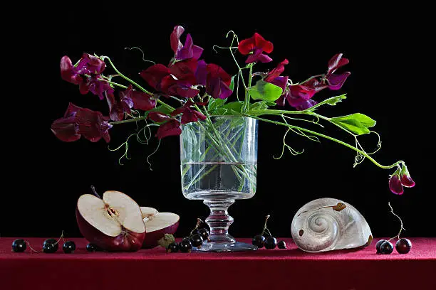 Classic style still life with sweetpea in a glass against black background