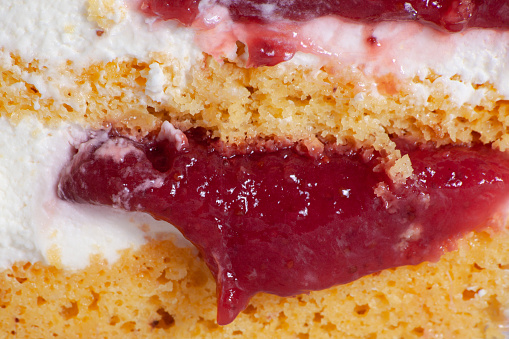 Honey cake layers with raspberry jam and white curd cream texture close up. Homemade cake slice in macro