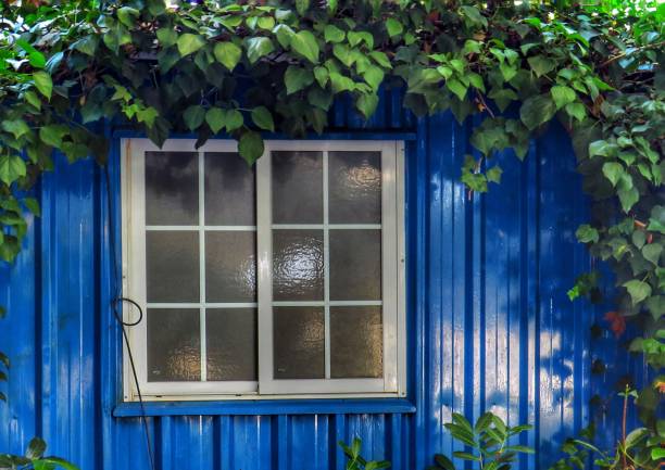 Free Stock Photo of Rustic Window with Blue Shutters and Plants ...