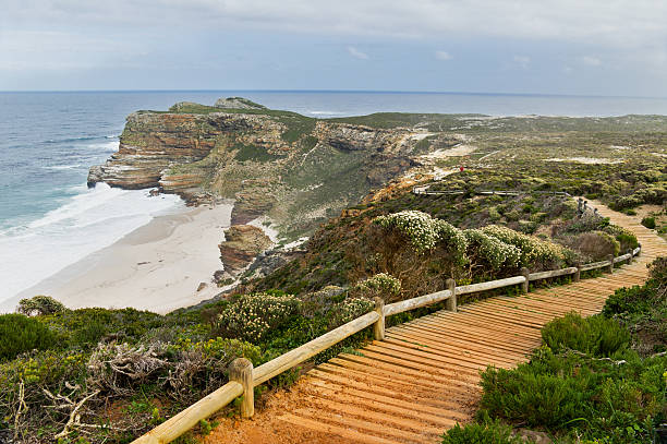 istock Wooden path over ocean, Cape of Good Hope 156932759
