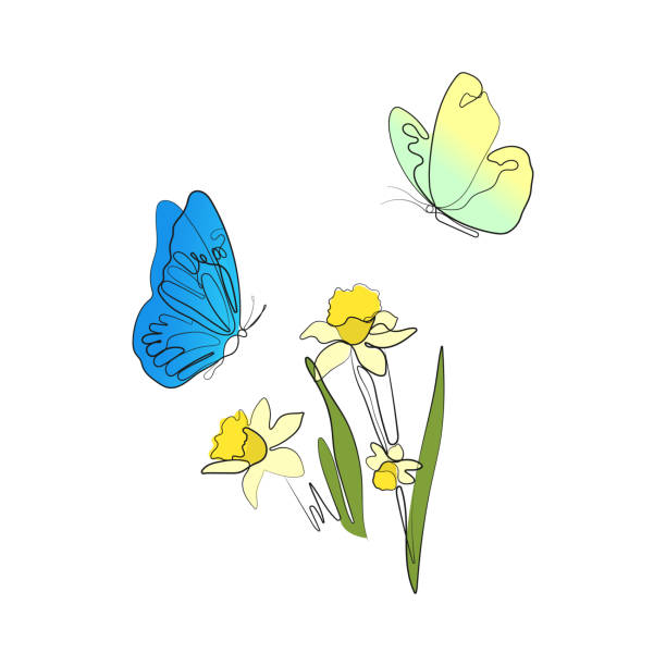 illustrazioni stock, clip art, cartoni animati e icone di tendenza di farfalla che vola sotto i fiori di narciso. grafica al tratto - daffodil flower silhouette butterfly