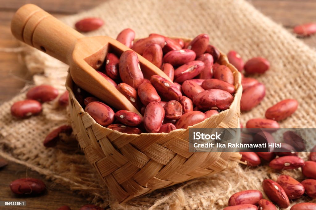 Kacang Jogo are a type of bean of the Phaseolus vulgaris type. this bean is known as the Red Kidney Bean. In Indonesian cuisine, these beans are mixed into rendang or cooked as a soup. Kacang merah. Bean Stock Photo