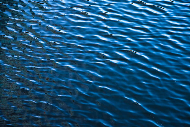 istock Creative water surface backgrounds for design advertising, full frame. Abstract background of dark water on lake, ripple effect. Textured backdrop, light and shadow. Create concept. Copy ad text space 1569339956