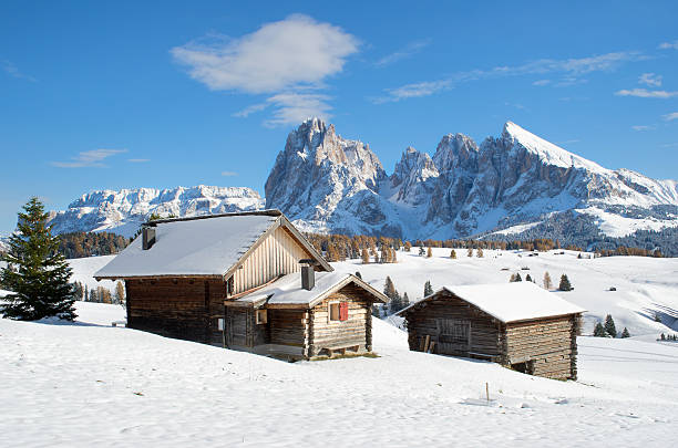 In the alpine zone of high mountains stands an ancient hunting wooden house, where sheep shepherds come in summer, and in winter hunters, tourists and mountain rescuers