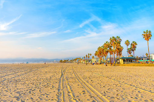 Los Angeles, California - December 29, 2022: Wide Stretch of Sandy Shoreline with Tire Tracks on Venice Beach