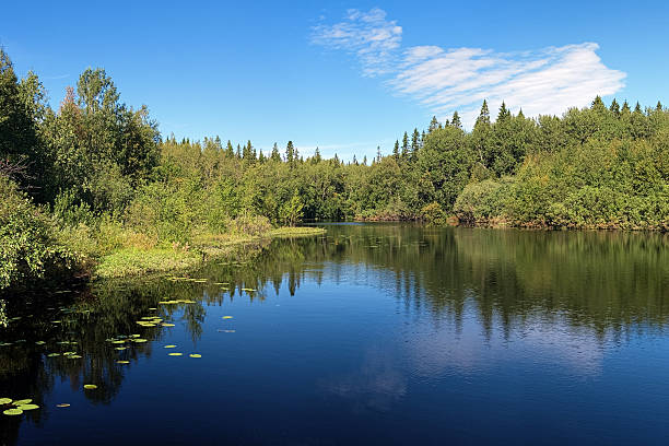 istock Flow between lakes on the Bolshoy Solovetsky Island, Russia 156940076