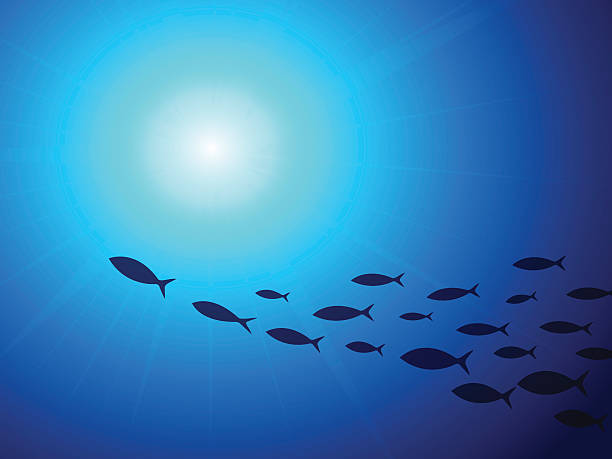 school of fish underwater vector art illustration