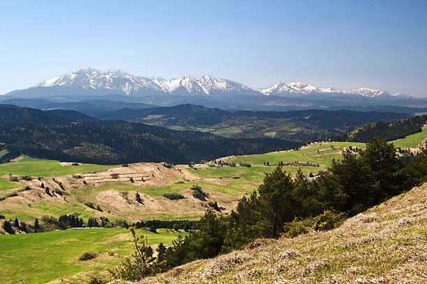 istock View of Tatra Mountains from Pieniny 156940534