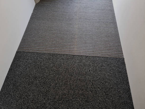 istock mat with felt filling and cassette brushes, gray aluminium. profiles embedded below the pavement level. replaceable felt brushes clean the shoes and soak up the water. the risk of slipping is reduced 1569409831