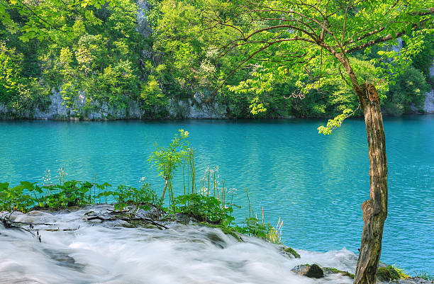 parco nazionale dei laghi di plitvice, croazia - plitvice lakes national park water lake national park foto e immagini stock