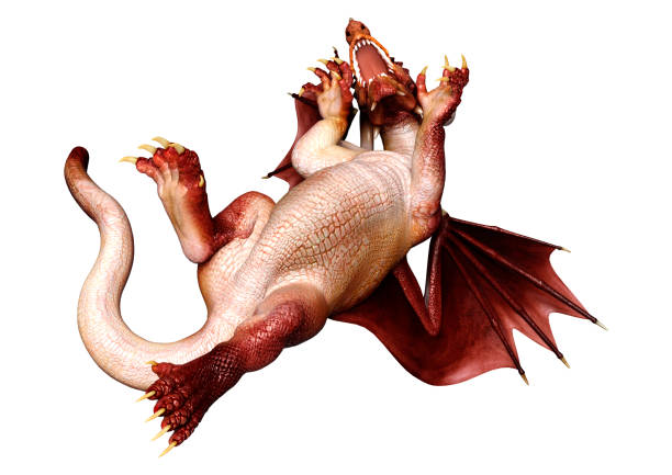 3D rendering of a fantasy dragon isolated on white background