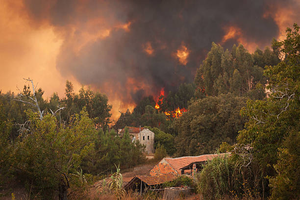 Forest Wild fire near houses on Portugal Summer stock photo