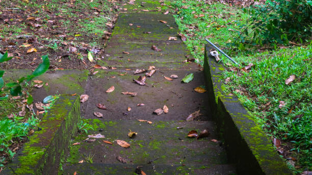 istock mossy concrete steps with fallen leaves 1569440650