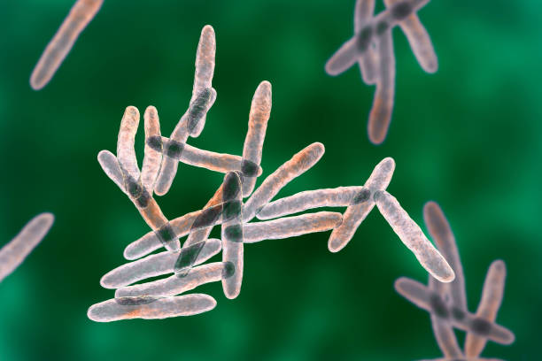mycobacterium ulcerans, czynnik sprawczy wrzodu buruli, ilustracja 3d - czynnik zdjęcia i obrazy z banku zdjęć