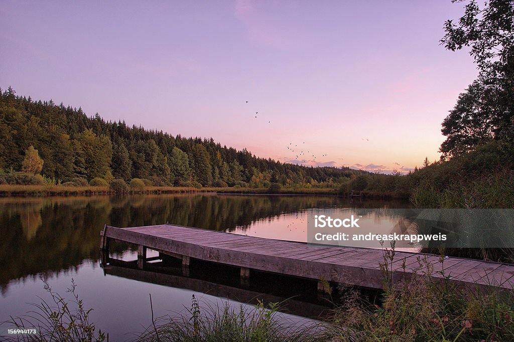 Sunset on Lake purple Light Sunset on Lake purple Light, Flock of Birds flying up Autumn Stock Photo