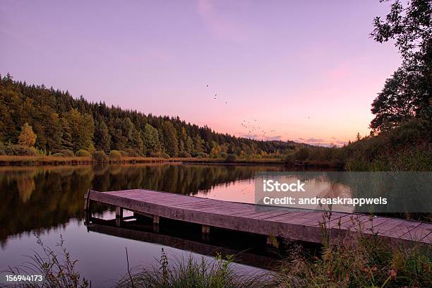 Sunset On Lake Purple Light Stock Photo - Download Image Now - Autumn, Bird, Bog