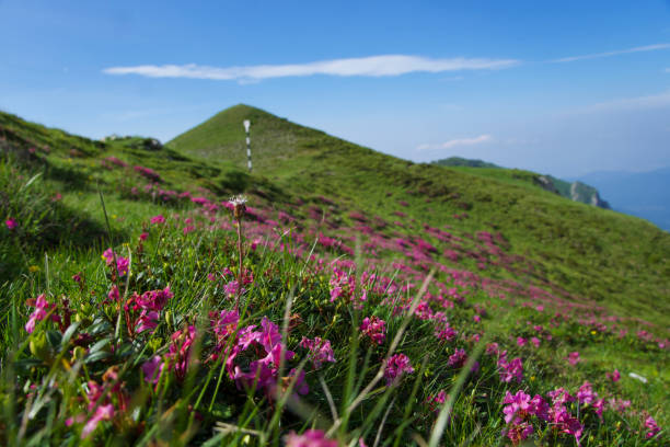 istock Tiganesti Ridge, Bucegi Mountains, Romania 1569442262