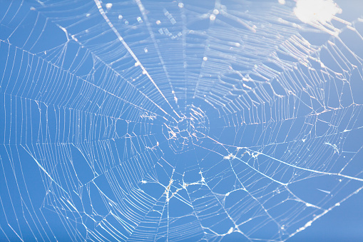 Complex web without a spider against a clear blue sky