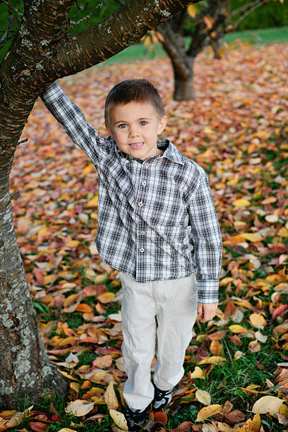 Boy in fall leaves stock photo