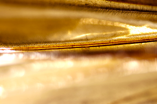 Golden ripple image based on insect wing pattern. Retouched macro photo-art.