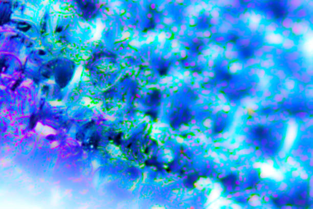 istock Fine grained iridescent glow abstract background. 1569463996