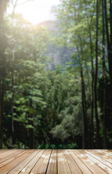 istock Wooden stage for objects presentation. Empty rustic wood with jungle background blurred. 1569475740