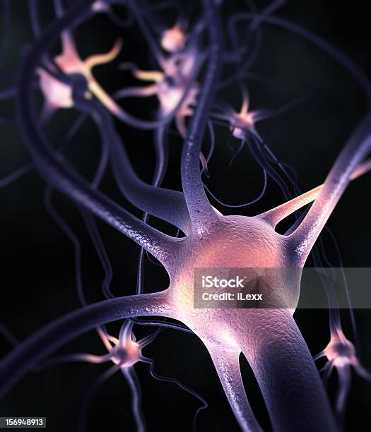 Multipolar - Fotografias de stock e mais imagens de Célula nervosa - Célula nervosa, Raiz do Nervo, Biologia