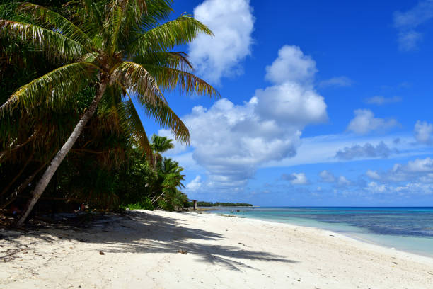 Vaiaku, Fongafale island, Funafuti Atoll, Tuvalu: white sand beach, lined with coconut palm trees and the clean warm waters of  Funafuti / Te Namo lagoon, south part of the island - southern seas.