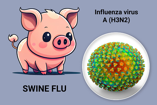 Swine flu, conceptual 3D illustration of the influenza H3N2 virus and digital cartoon illustration of a pig