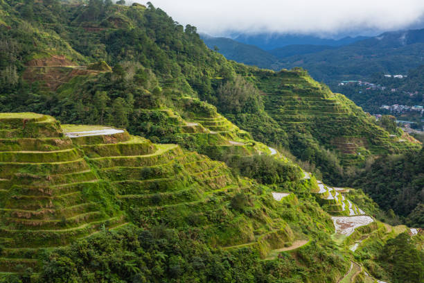 terrazze di riso a banaue in cordillera, filippine - ifugao foto e immagini stock