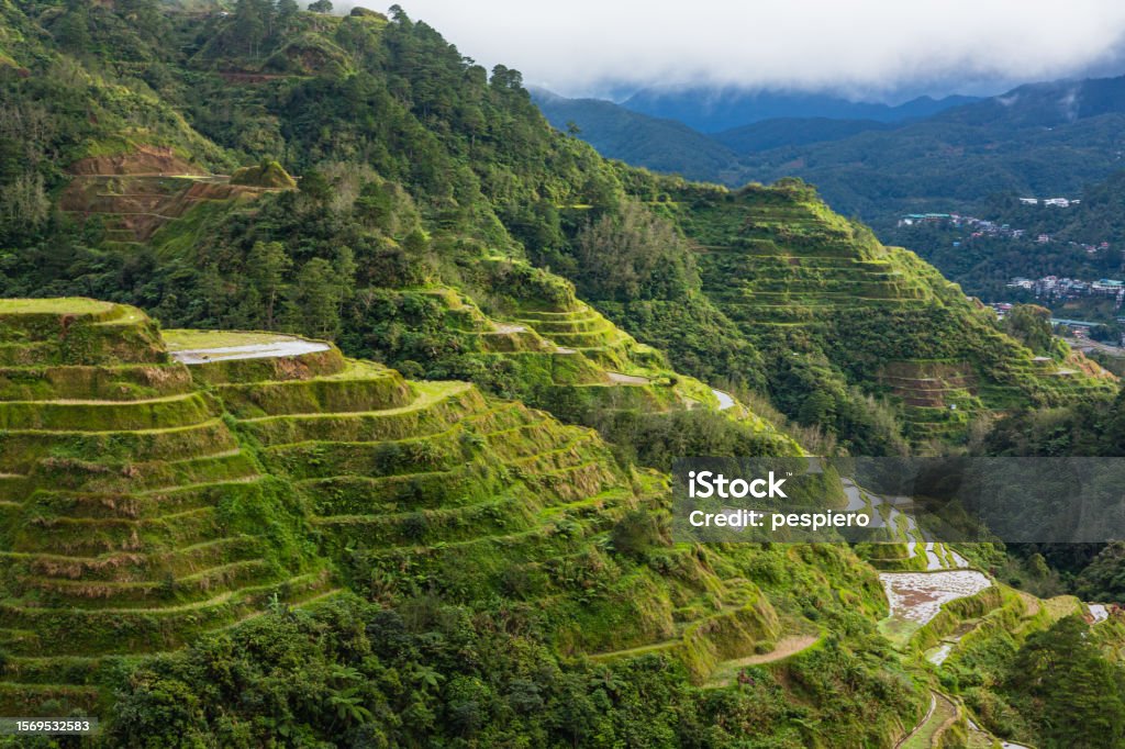 Rice Terraces in Banaue in Cordillera, Philippines Banaue is a charming town in the Philippines known for its stunning rice terraces, a UNESCO World Heritage site. It's home to the Ifugao people with their rich cultural heritage. Banaue is perfect for nature lovers and those seeking an authentic experience. Filipino Culture Stock Photo