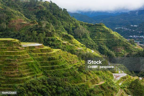 Rice Terraces In Banaue In Cordillera Philippines Stock Photo - Download Image Now - Filipino Culture, Mountain, Philippines