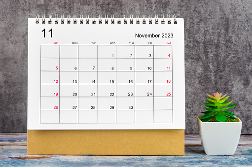 November 2023 Monthly desk calendar for 2023 year with plant pot on wooden table.