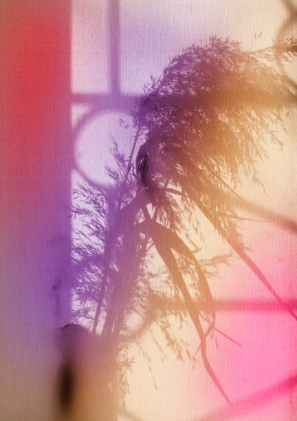 istock Light and shadow sunset on old retro beige fabric texture.  vintage textile background. Abstract backdrop with floral pattern and crossed lines shadows. 1569545910