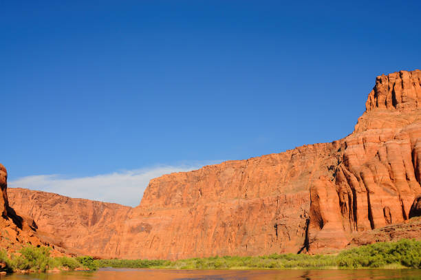 istock Colorado River Arizona 1569552910