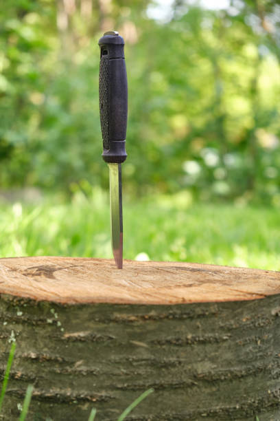 tactical large military knife from a stump