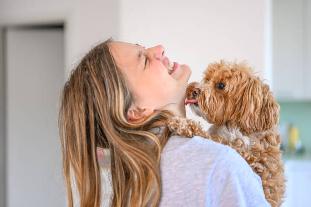 filhote de cachorro bonito lambendo o rosto de uma jovem menina dentro de casa - sticking out tongue animal tongue teenage girls licking - fotografias e filmes do acervo