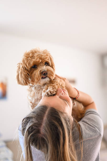 istock Young girl holding a small puppy 1569561238
