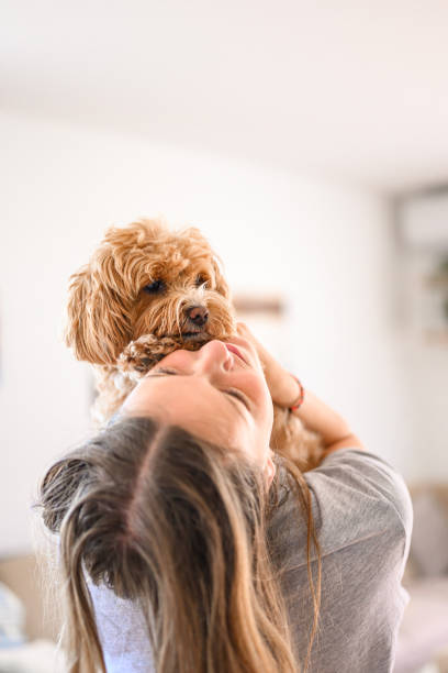 istock Young girl holding a small puppy 1569561240