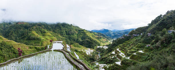 istock Rice Terraces in Banaue in Cordillera, Philippines 1569580502