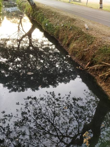 istock Rivers that are polluted by waste 1569585362