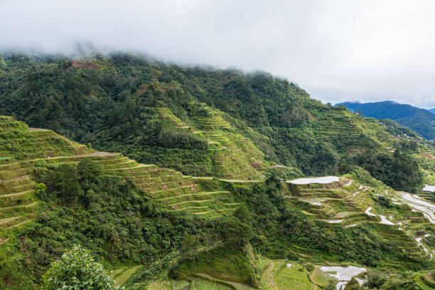 istock Rice Terraces in Banaue in Cordillera, Philippines 1569594475