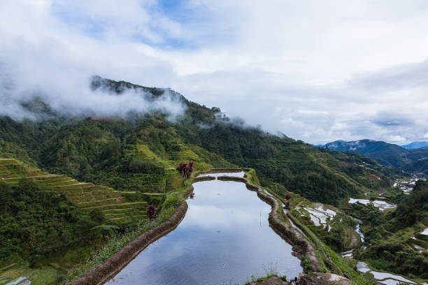 istock Rice Terraces in Banaue in Cordillera, Philippines 1569596099